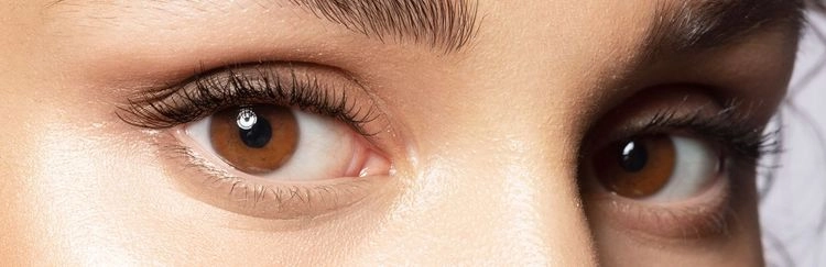 Keep Your Eyes Healthy: 7 Essential Tips for Lifelong Vision Care